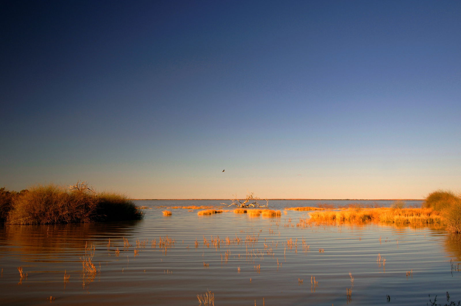 Innamincka SA Restaurant Gold Coast