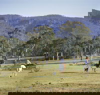 Megalong Valley - Restaurant Gold Coast