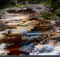Mothar Mountain Rockpools - Restaurant Gold Coast