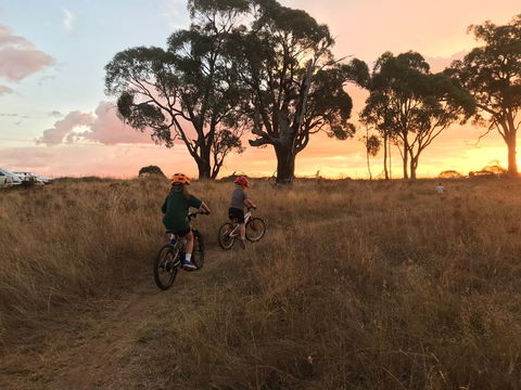 Mountain Bike Trails Tumbarumba - Restaurant Gold Coast 2
