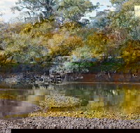 Mungabareena and Water Works - Restaurant Gold Coast