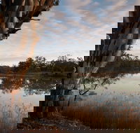 Murray-Kulkyne Regional Park - Restaurant Gold Coast