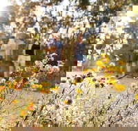 Nail Can Hill - Restaurant Gold Coast