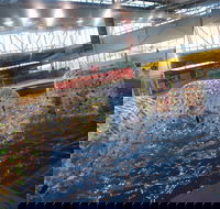Oasis Regional Aquatic Centre - Restaurant Gold Coast
