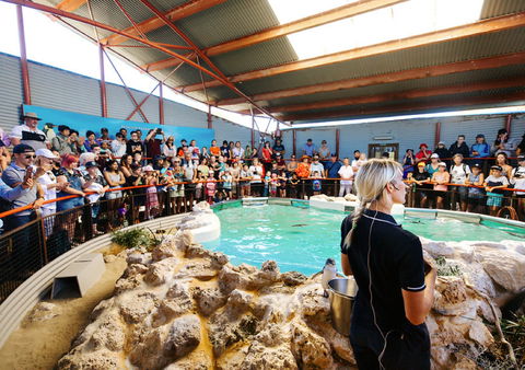 Penguin Island - Restaurant Gold Coast 1