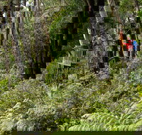 Pipers lookout - Restaurant Gold Coast