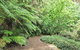 Pirianda Gardens - thumb 0