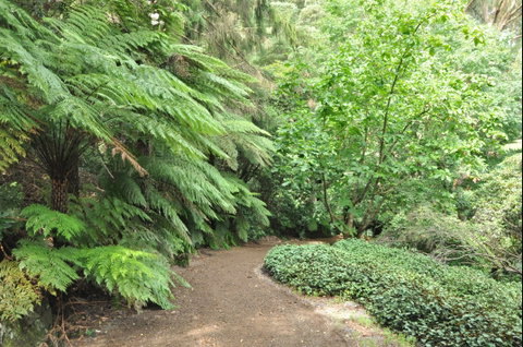 Pirianda Gardens - Restaurant Gold Coast 0