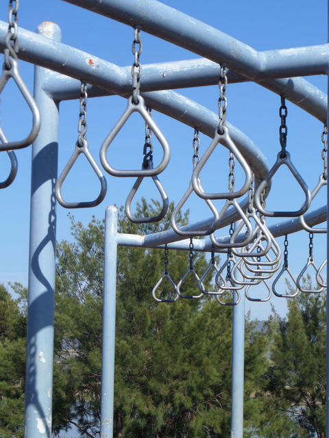 Point Hut Pond Park - Restaurant Gold Coast 2