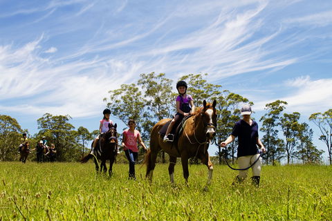 Port Macquarie Horse Riding Centre - Restaurant Gold Coast 0