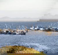 Portarlington - Restaurant Gold Coast