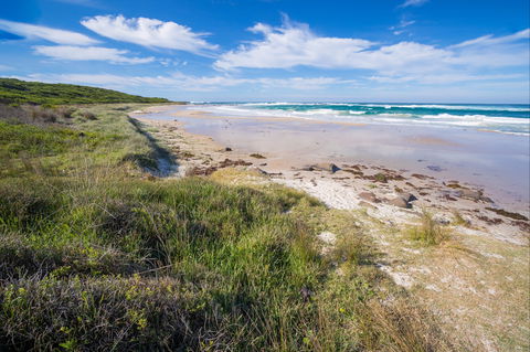Racecourse Beach: Bawley Point - Restaurant Gold Coast 0