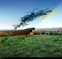Ravensbourne National Park - Restaurant Gold Coast