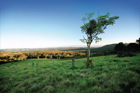 Ravensbourne National Park - Restaurant Gold Coast 0
