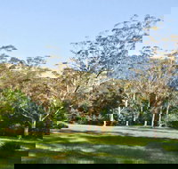 Red Cedar Flat Picnic Area - Restaurant Gold Coast