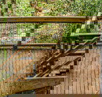 Somersby Falls walking track - Restaurant Gold Coast