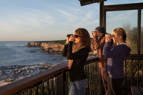 Book Sutherland NSW Attractions Restaurant Gold Coast Restaurant Gold Coast