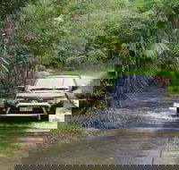 The Pioneer Valley and Eungella National Park - Restaurant Gold Coast