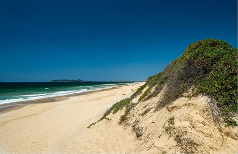 Tyagarah Nature Reserve Picnic Area - Restaurant Gold Coast 0