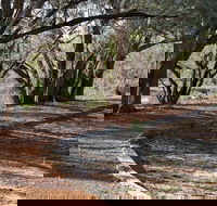 Warrego Floodplain walking track - Restaurant Gold Coast