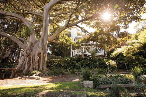 Wendy Whiteley's Secret Garden - Restaurant Gold Coast 0