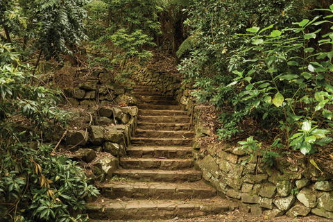 William Ricketts Sanctuary - Restaurant Gold Coast 1