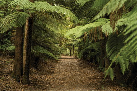 William Ricketts Sanctuary - Restaurant Gold Coast 2