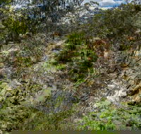 Yarrambat Park - Restaurant Gold Coast
