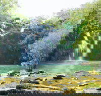 Airlie Beach to Cedar Creek Falls - Restaurant Gold Coast