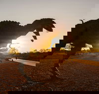 Australian Dinosaur Trail - Restaurant Gold Coast