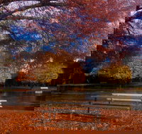 Bells Parade Reserve - Restaurant Gold Coast