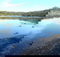 Berrara Creek - Restaurant Gold Coast