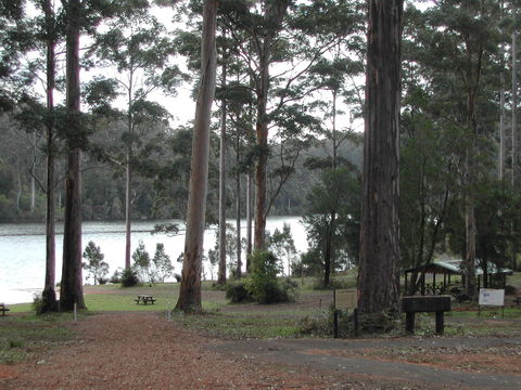 Big Brook Arboretum - Restaurant Gold Coast 0
