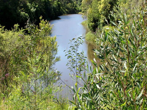 Blue Gum Hills Regional Park - Restaurant Gold Coast 1