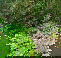 Brindle Creek Picnic Area - Restaurant Gold Coast