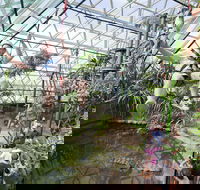 Cairns ZOOM and Wildlife Dome - Restaurant Gold Coast