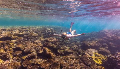 Complete Ningaloo Reef Experience - Restaurant Gold Coast 1