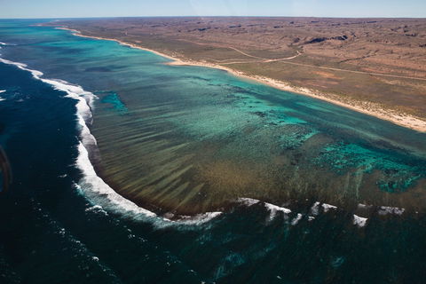 Complete Ningaloo Reef Experience - Restaurant Gold Coast 2