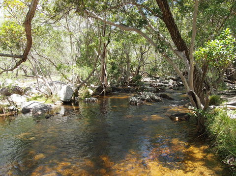 Emerald Creek, Dinden West Forest Reserve - Restaurant Gold Coast 1
