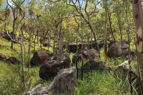 Emerald Creek, Dinden West Forest Reserve - Restaurant Gold Coast 2