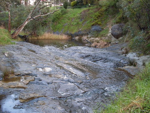 Glacier Rock - Restaurant Gold Coast 0
