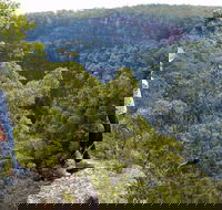Glenbrook Gorge Track - Restaurant Gold Coast