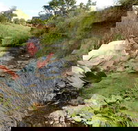 Gold Panning Deep Creek - Restaurant Gold Coast