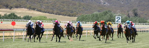 Goulburn And District Racing Club - Restaurant Gold Coast 1
