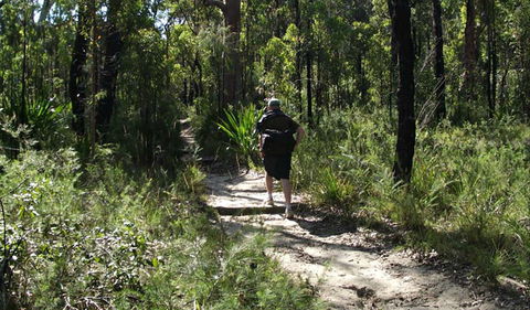 Karloo Walking Track - Restaurant Gold Coast 0