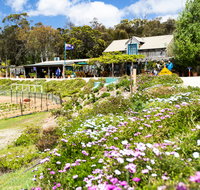 Kate's Berry Farm - Restaurant Gold Coast