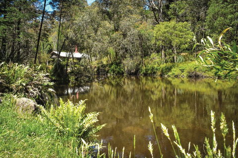 Kurth Kiln Regional Park - Restaurant Gold Coast 0