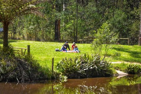 Kurth Kiln Regional Park - Restaurant Gold Coast 1