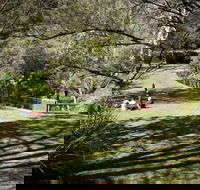 Leura Cascades picnic area - Restaurant Gold Coast