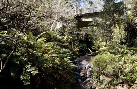 Leura Cascades Picnic Area - Restaurant Gold Coast 1